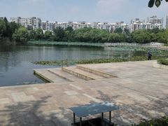 -新江湾城公园