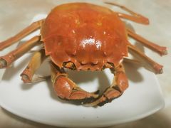-蟹状元大闸蟹·年货·粽子(成都成华店)