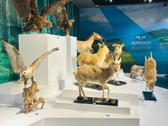 -中国湿地博物馆