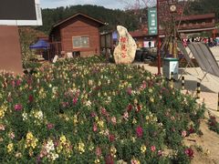 -绵阳盛世樱花悠乐谷