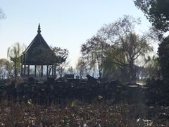 -无锡蠡湖国家湿地公园-蠡园