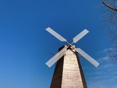 -漩门湾国家湿地公园