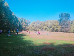 -长白岛森林公园