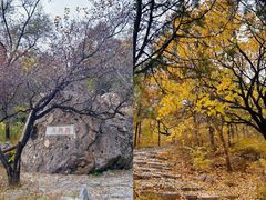 -阳台山自然风景区