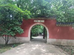 -灵谷景区
