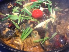 老板恋上鱼-老板恋上鱼(恒隆广场店)