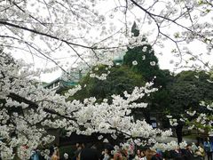 -东湖磨山景区
