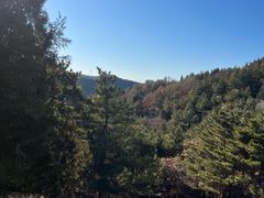 -磬锤峰森林公园