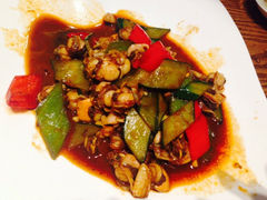 iphone_upload_pic-双合园·海鲜水饺青岛菜(大尧三路店)