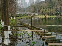 -重庆彩云湖湿地公园