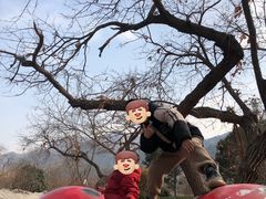 -秦岭欢乐世界