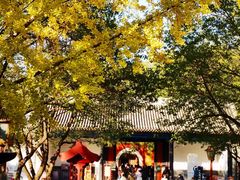 -北京国子监胡同