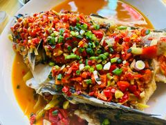 -全乐鱼馆·淳牌有机鱼直营店