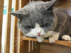 -网鱼电竞·棋牌(五一广场店)
