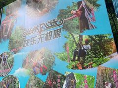 -西双版纳原始森林公园