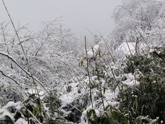 -峨眉山风景名胜区