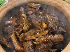 -霞姐屯昌枫木香草鸭店(海螺店)