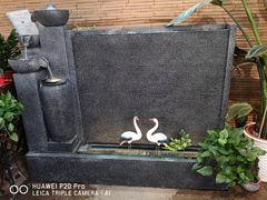 -双季花艺园艺市场(浦东店)