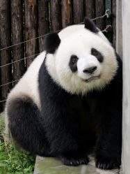 -Zoolung Zoolung动物主题公园(海信广场店)