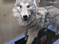 -陕西自然博物馆