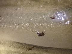 -长江澳风力发电景观区