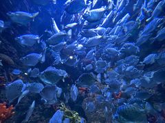 -海合安青岛极地海洋公园