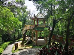 -青芝山风景名胜区