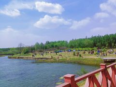 -丁香湖公园