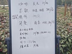 -南湖湿地公园
