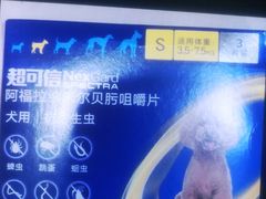 -申普宠物医院·眼科·心内科·影像科(普陀分院)