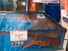 -猪肉婆私房菜(容桂总店)