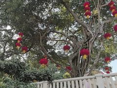 -鼓浪屿·八卦楼