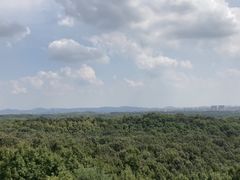 -紫金山索道-售票处