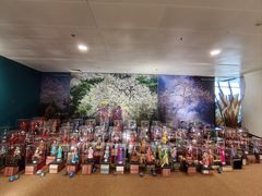 -河内内排国际机场