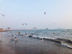 景点-栈桥景区