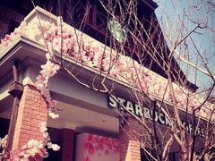 -星巴克(北新泾店)
