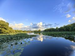 -长春市南湖公园