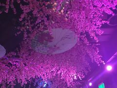 -韵秋荷(宝山龙湖天街店)