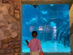 -华夏文旅海洋公园