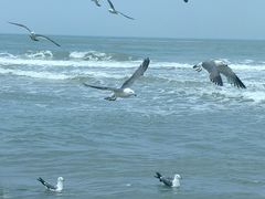 -那香海钻石沙滩浴场