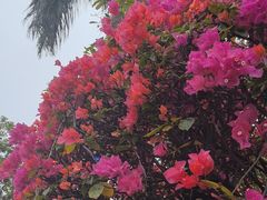 -桃花涧
