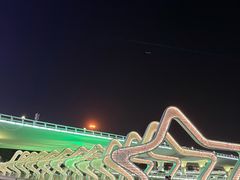 -演武大桥观景平台