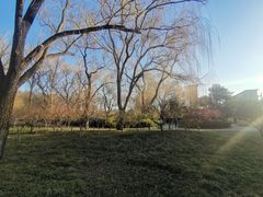 -玲珑塔公园