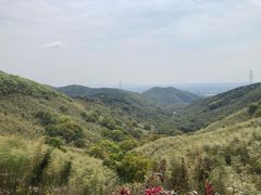 -东明山森林公园