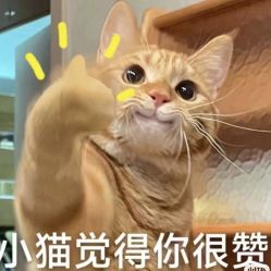 -和良形象