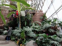 -北京植物园-展览温室