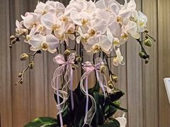 -汤悦温泉酒店(成都春熙路天府广场店)