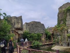 -海南热带野生动植物园
