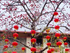 -鹅公村·国家非遗传承(荔湾店)