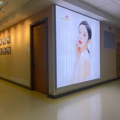 -北京爱育华医院-医疗美容科